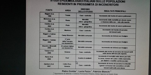 effetti di un inceneritore